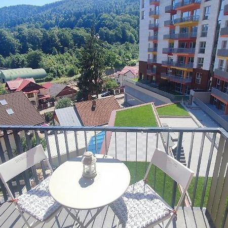 Belle View Sinaia-Free Parking Apartment Exterior photo