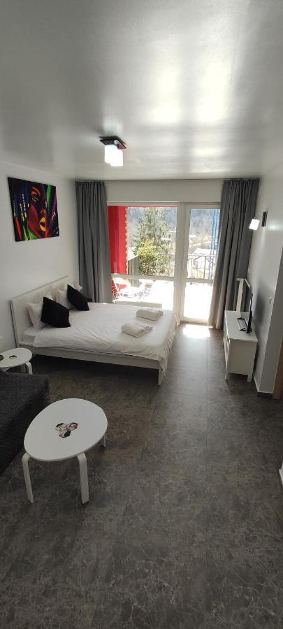 Belle View Sinaia-Free Parking Apartment Exterior photo